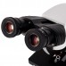 Microscopio Binocular. Modelo VE-B310